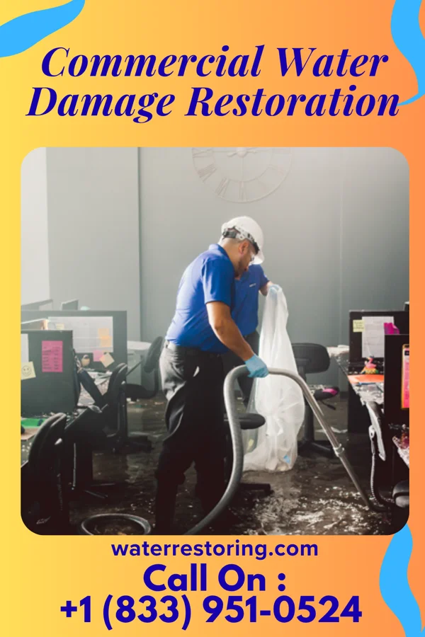 Commercial Water Damage Restoration in Lansford, ND