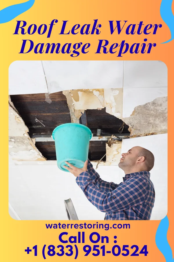 Roof Leak Water Damage Repair in Lansford, ND