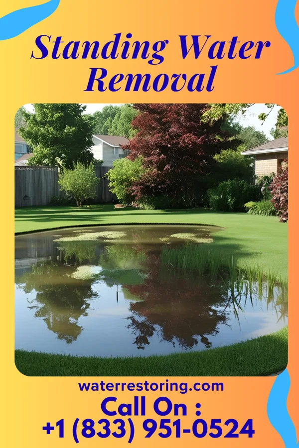 Standing Water Removal in Lansford, ND